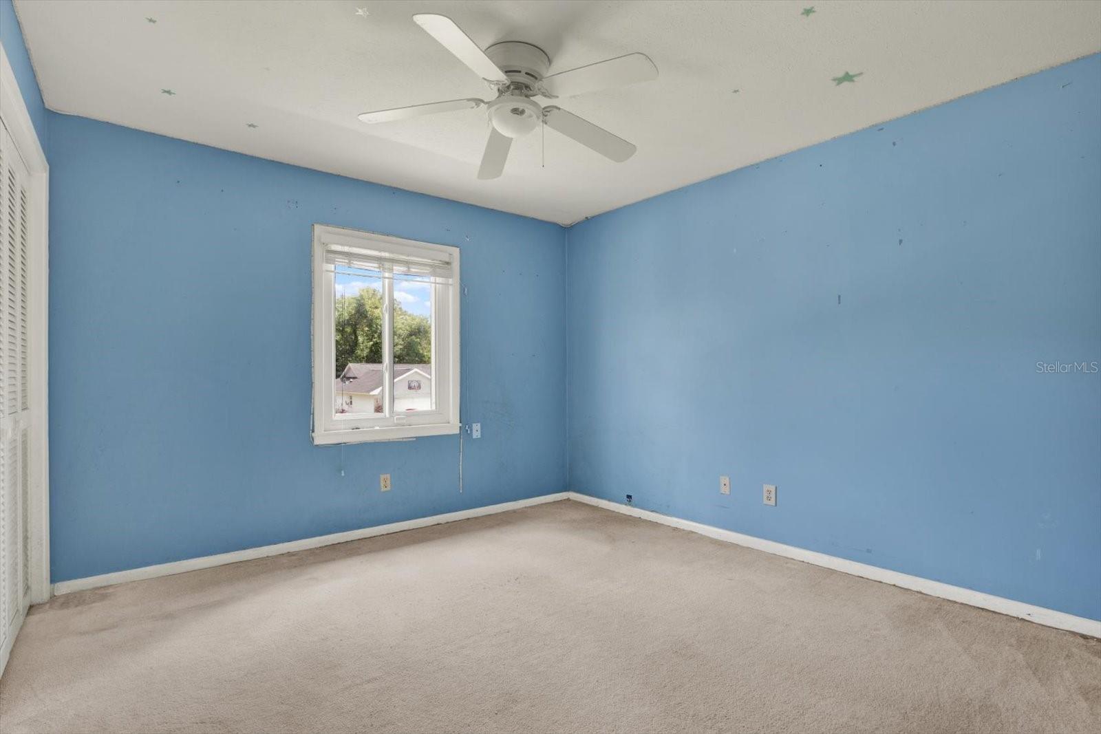 12206 SNEAD PL, TAMPA, FL, 33624