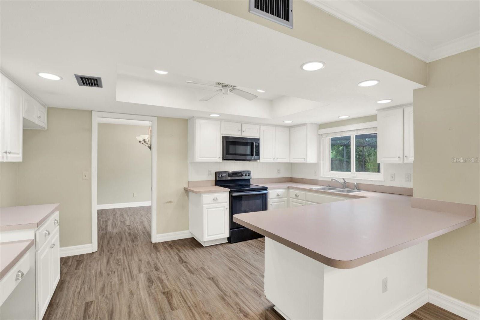 12206 SNEAD PL, TAMPA, FL, 33624