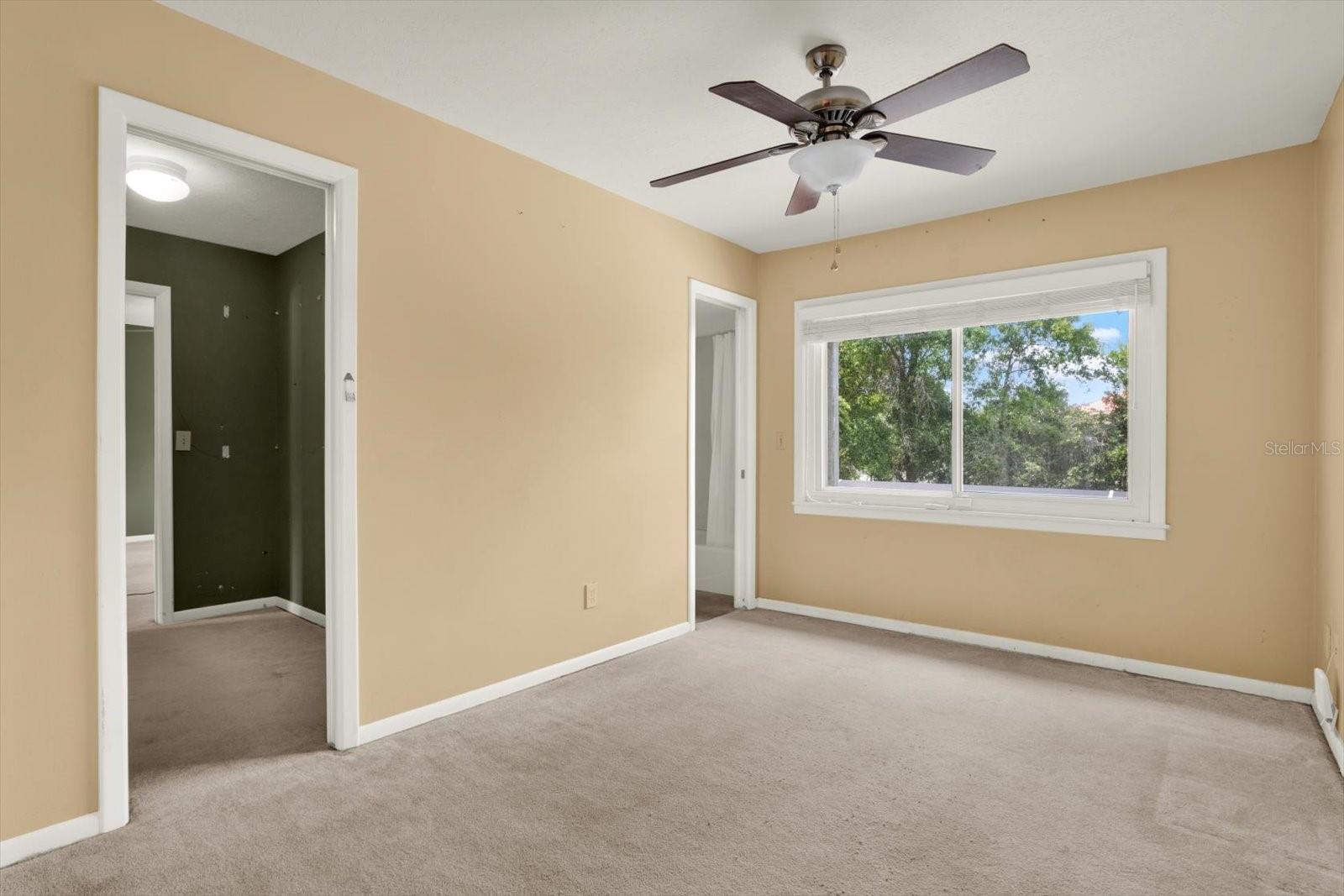 12206 SNEAD PL, TAMPA, FL, 33624