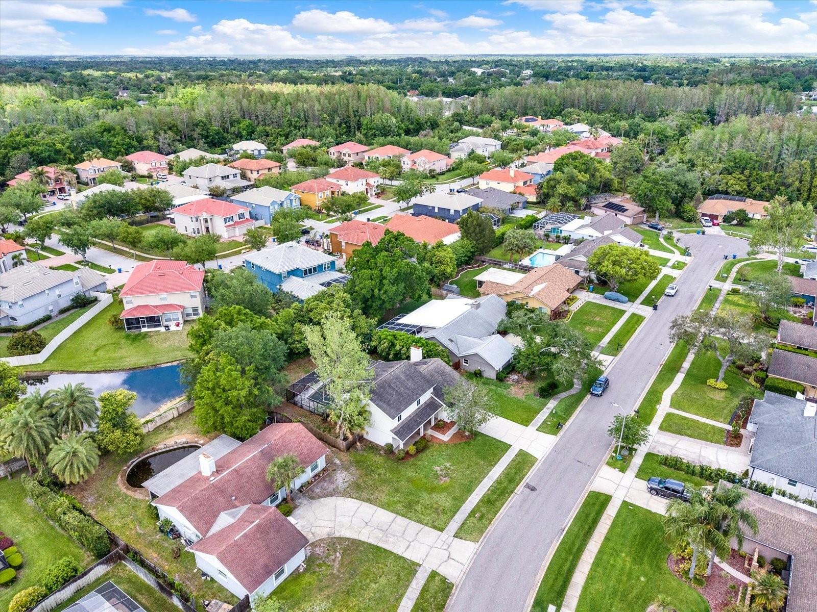 12206 SNEAD PL, TAMPA, FL, 33624