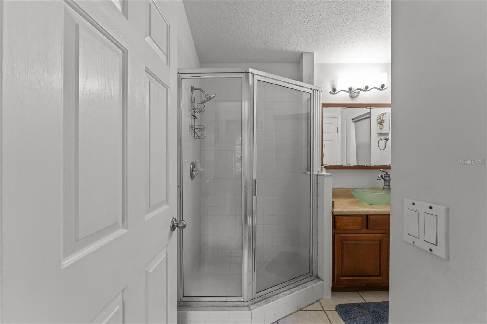 11218 FOUNTAIN LAKE BLVD, LEESBURG, FL, 34788