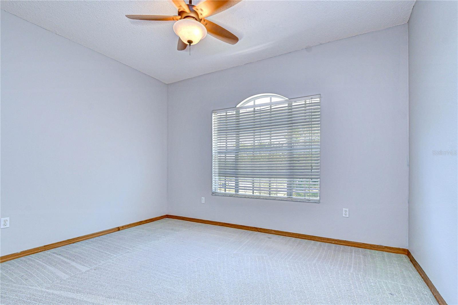 6213 PARKWAY BLVD, LAND O LAKES, FL, 34639