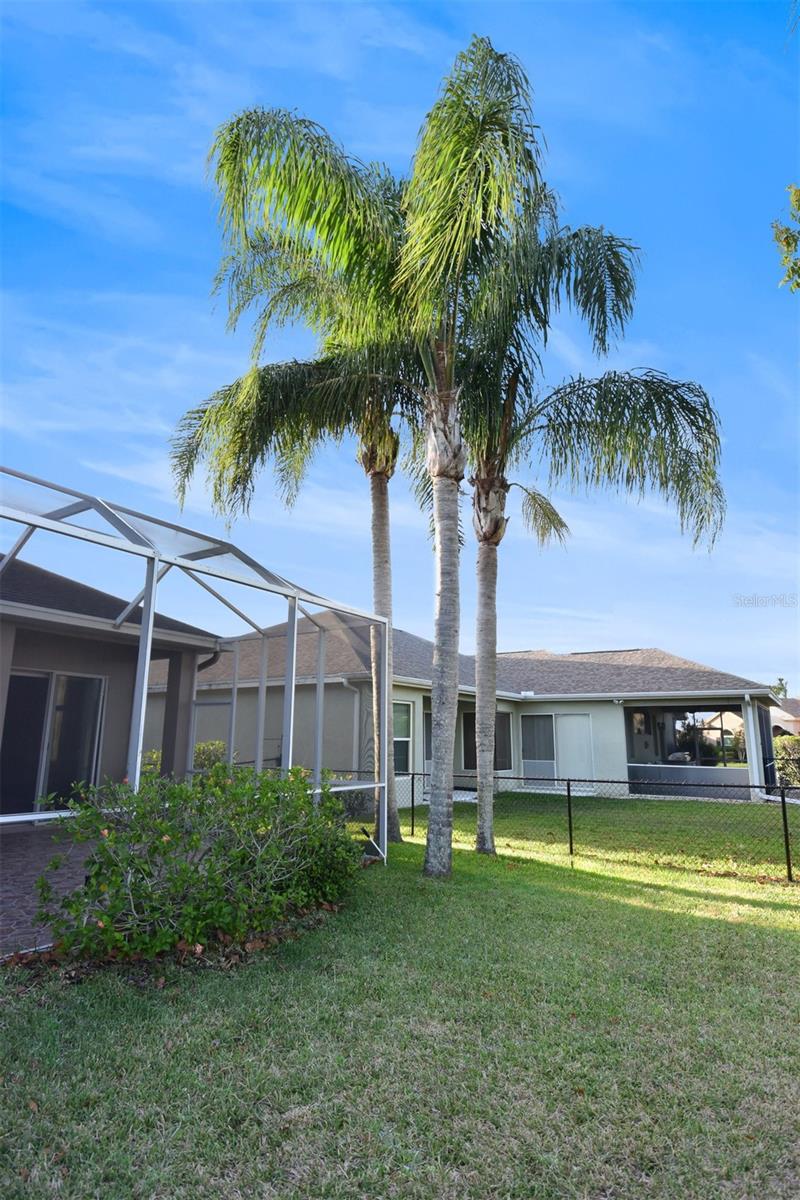 1632 BAYFIELD CT, TRINITY, FL, 34655