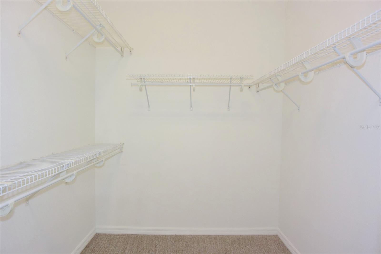 1632 BAYFIELD CT, TRINITY, FL, 34655