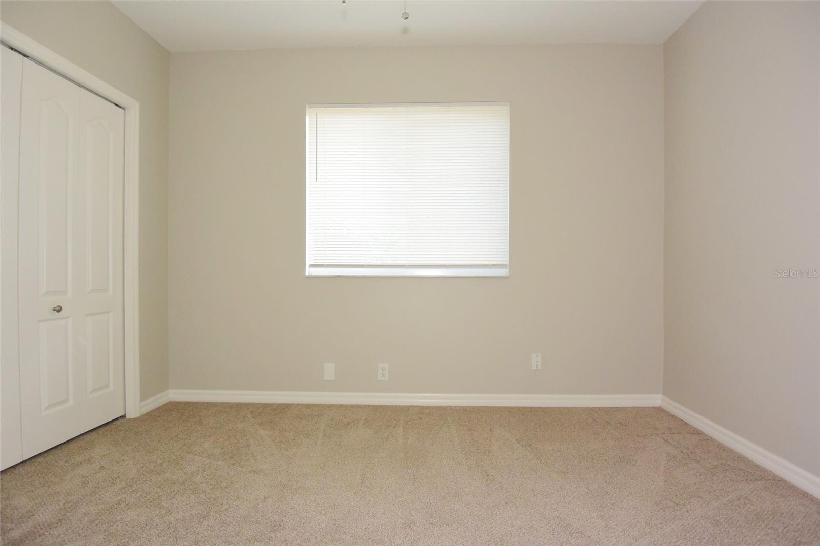 1632 BAYFIELD CT, TRINITY, FL, 34655