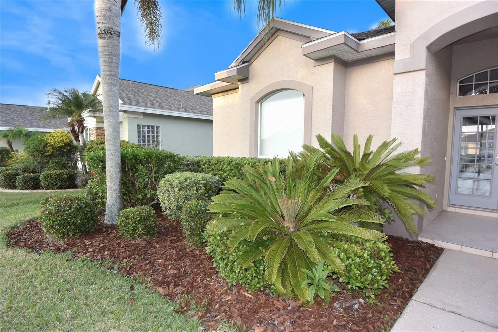 1632 BAYFIELD CT, TRINITY, FL, 34655