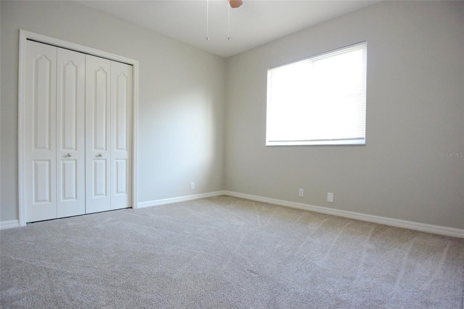 1632 BAYFIELD CT, TRINITY, FL, 34655