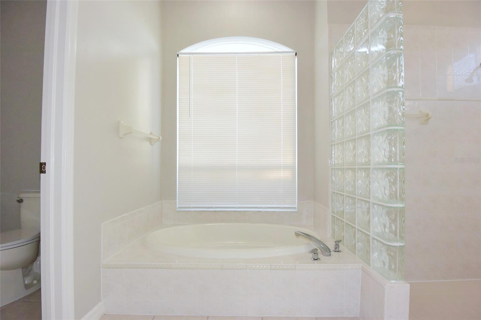 1632 BAYFIELD CT, TRINITY, FL, 34655