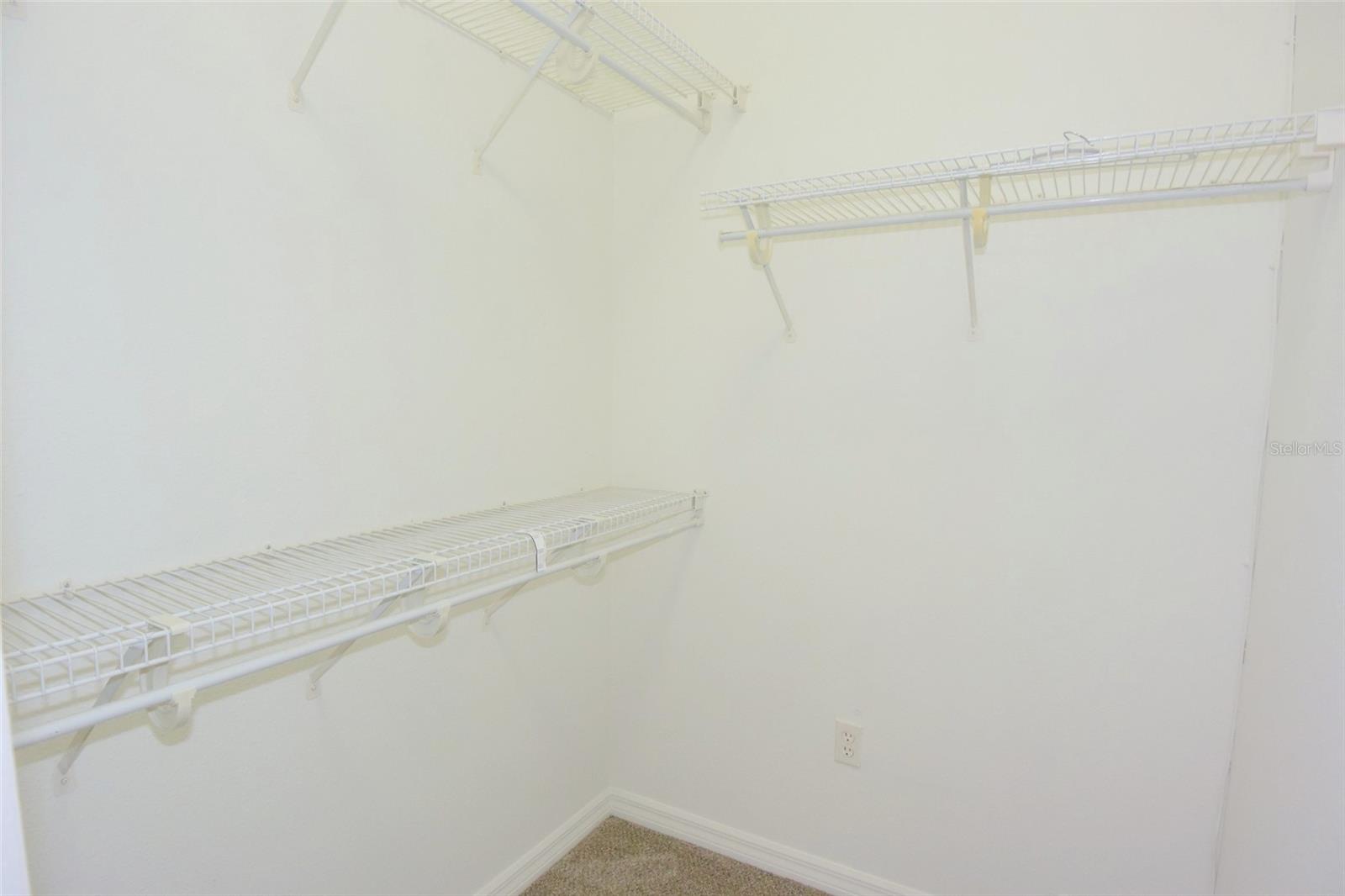 1632 BAYFIELD CT, TRINITY, FL, 34655