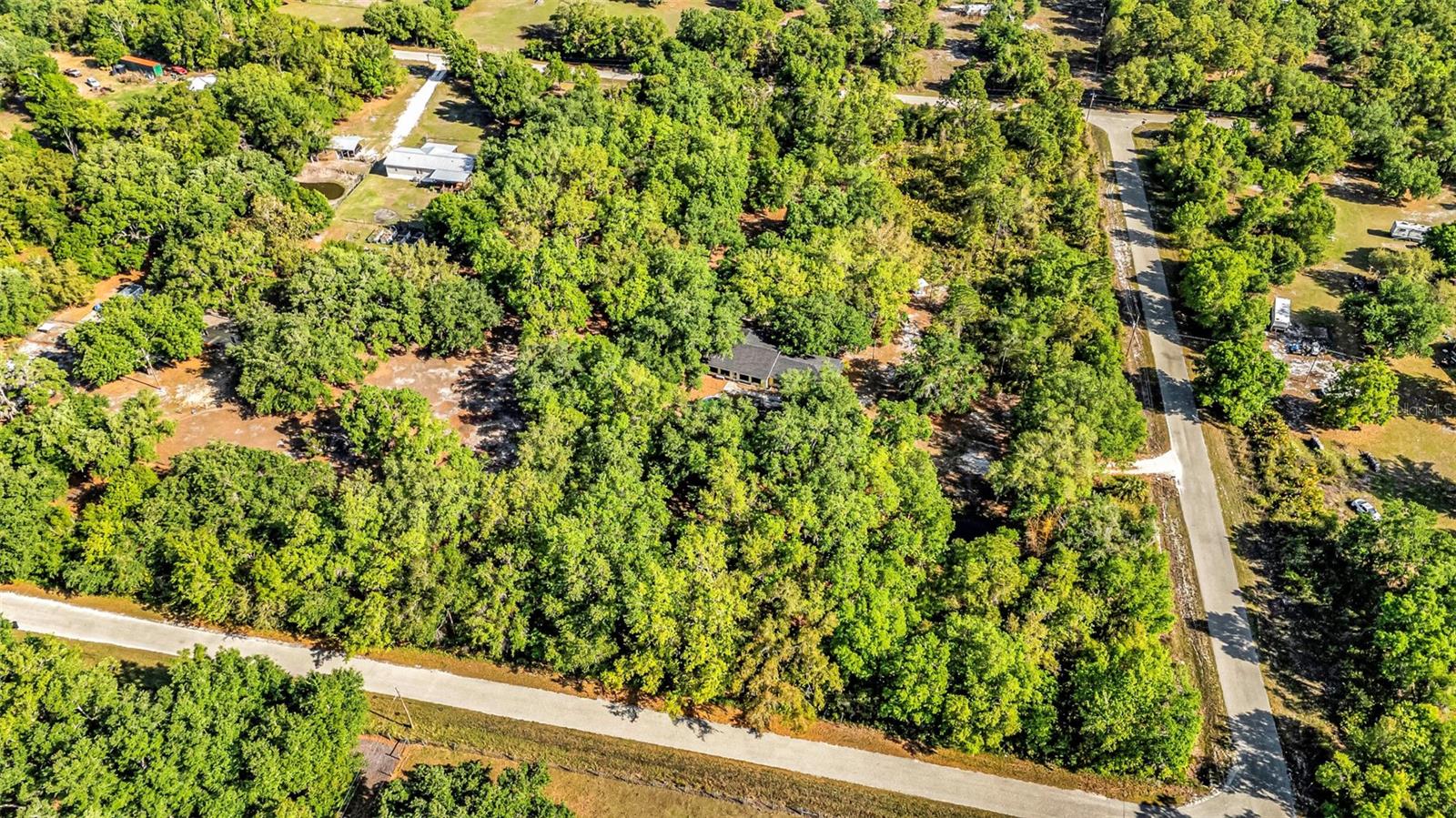 3309 SW GOPHER TRL, ARCADIA, FL, 34266