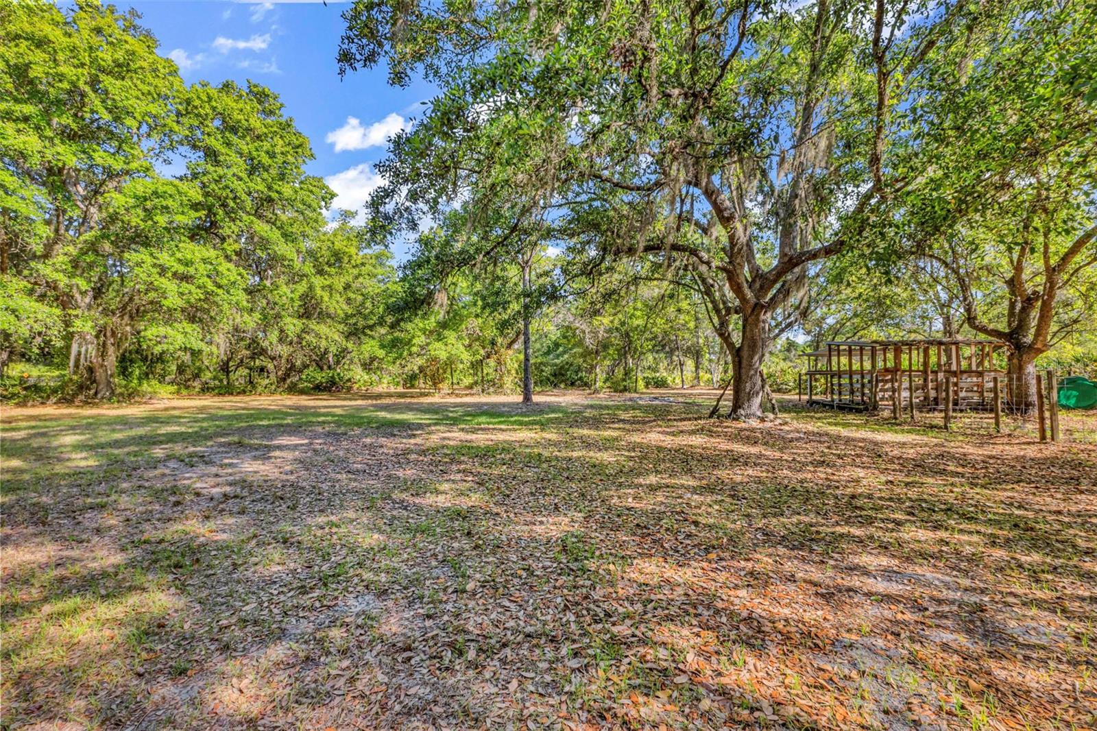 3309 SW GOPHER TRL, ARCADIA, FL, 34266