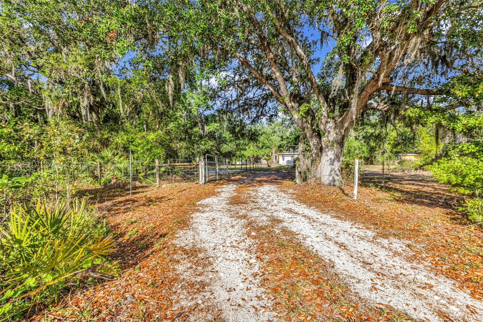 3309 SW GOPHER TRL, ARCADIA, FL, 34266