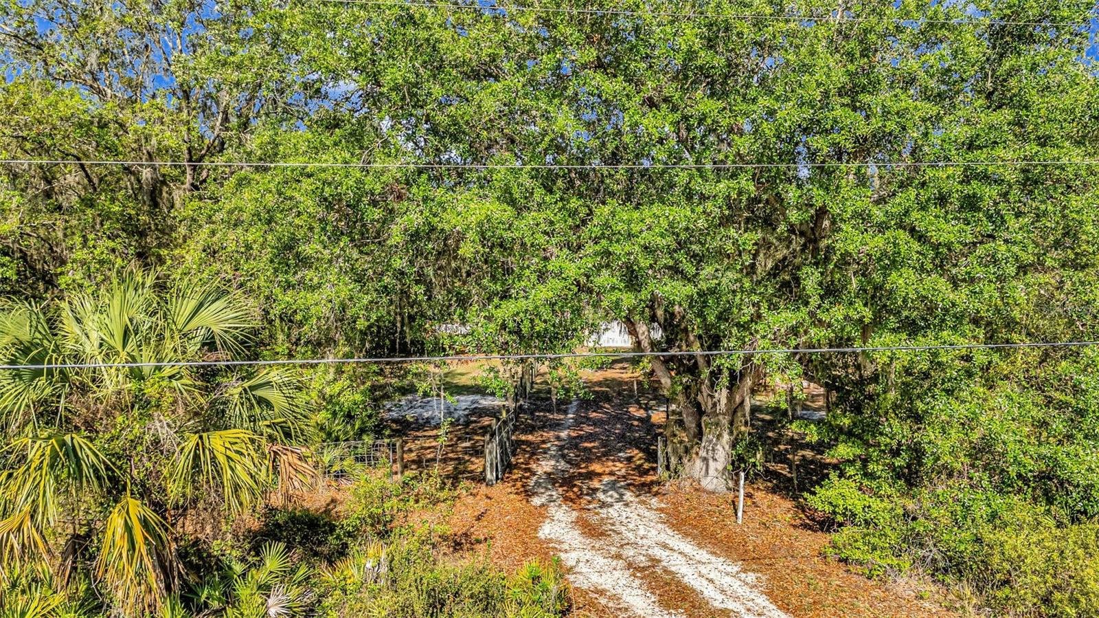 3309 SW GOPHER TRL, ARCADIA, FL, 34266