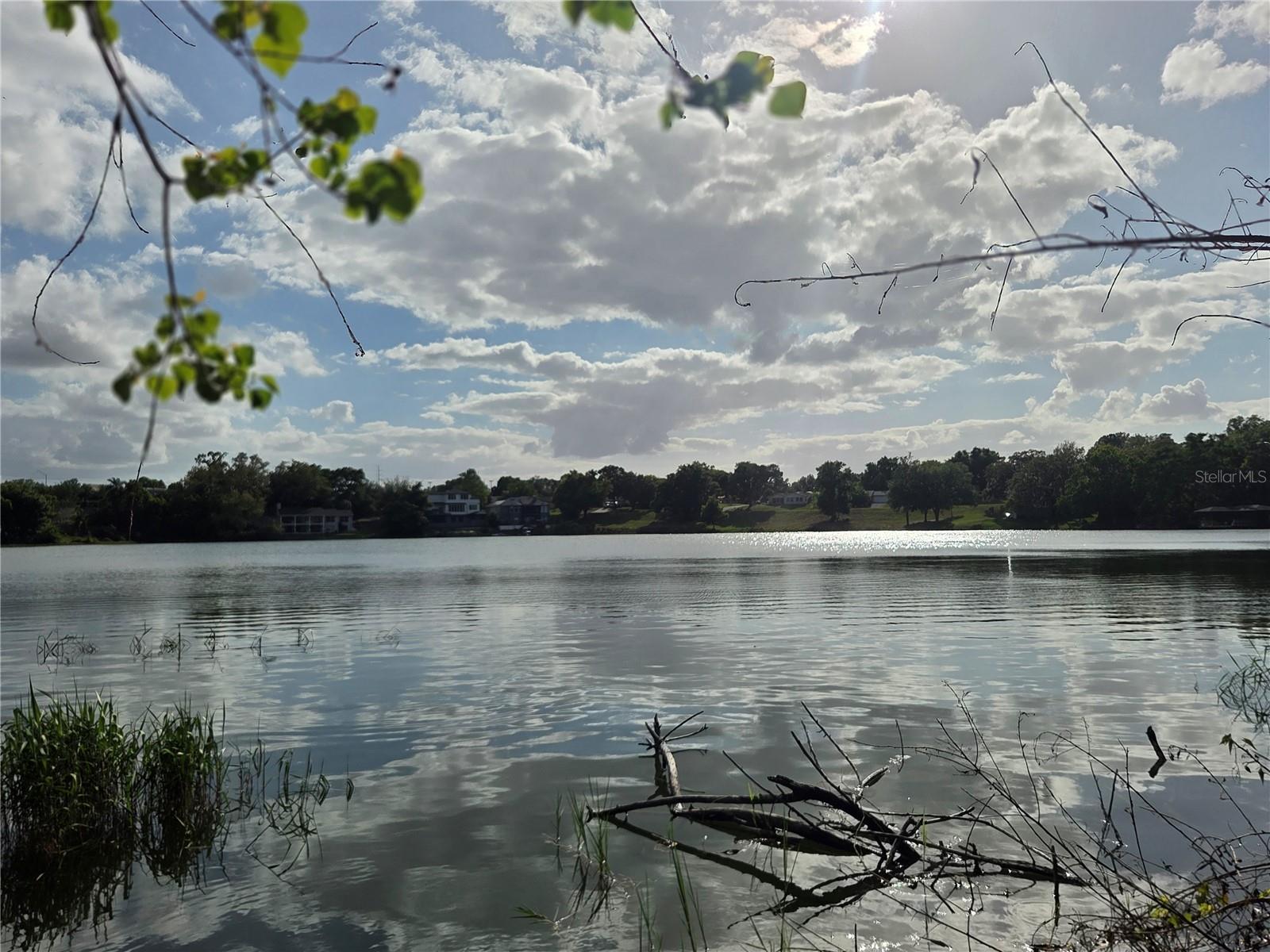 1408 WESTMORELAND AVE, EUSTIS, FL, 32726