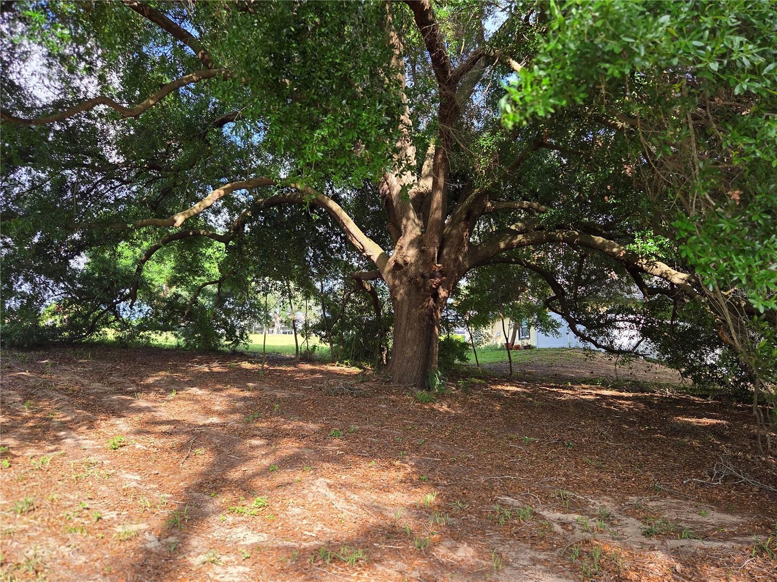 1408 WESTMORELAND AVE, EUSTIS, FL, 32726