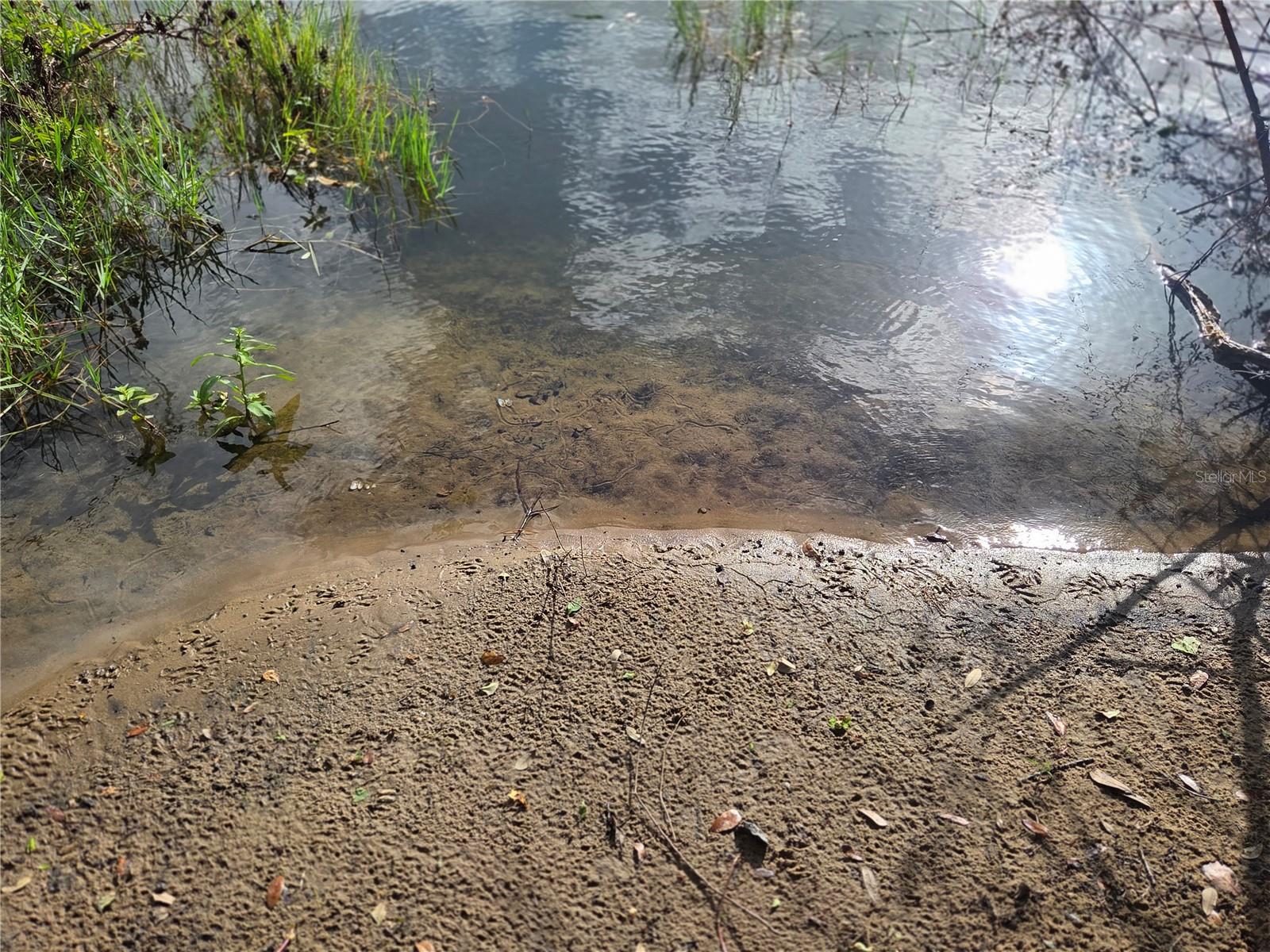 1408 WESTMORELAND AVE, EUSTIS, FL, 32726