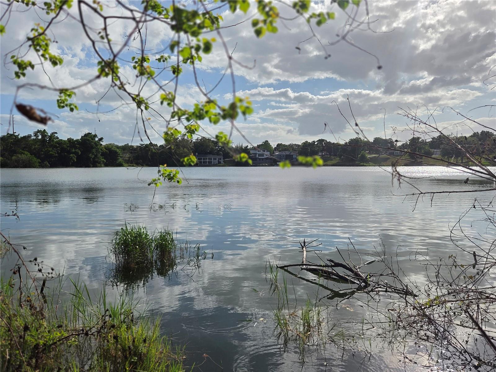 1408 WESTMORELAND AVE, EUSTIS, FL, 32726