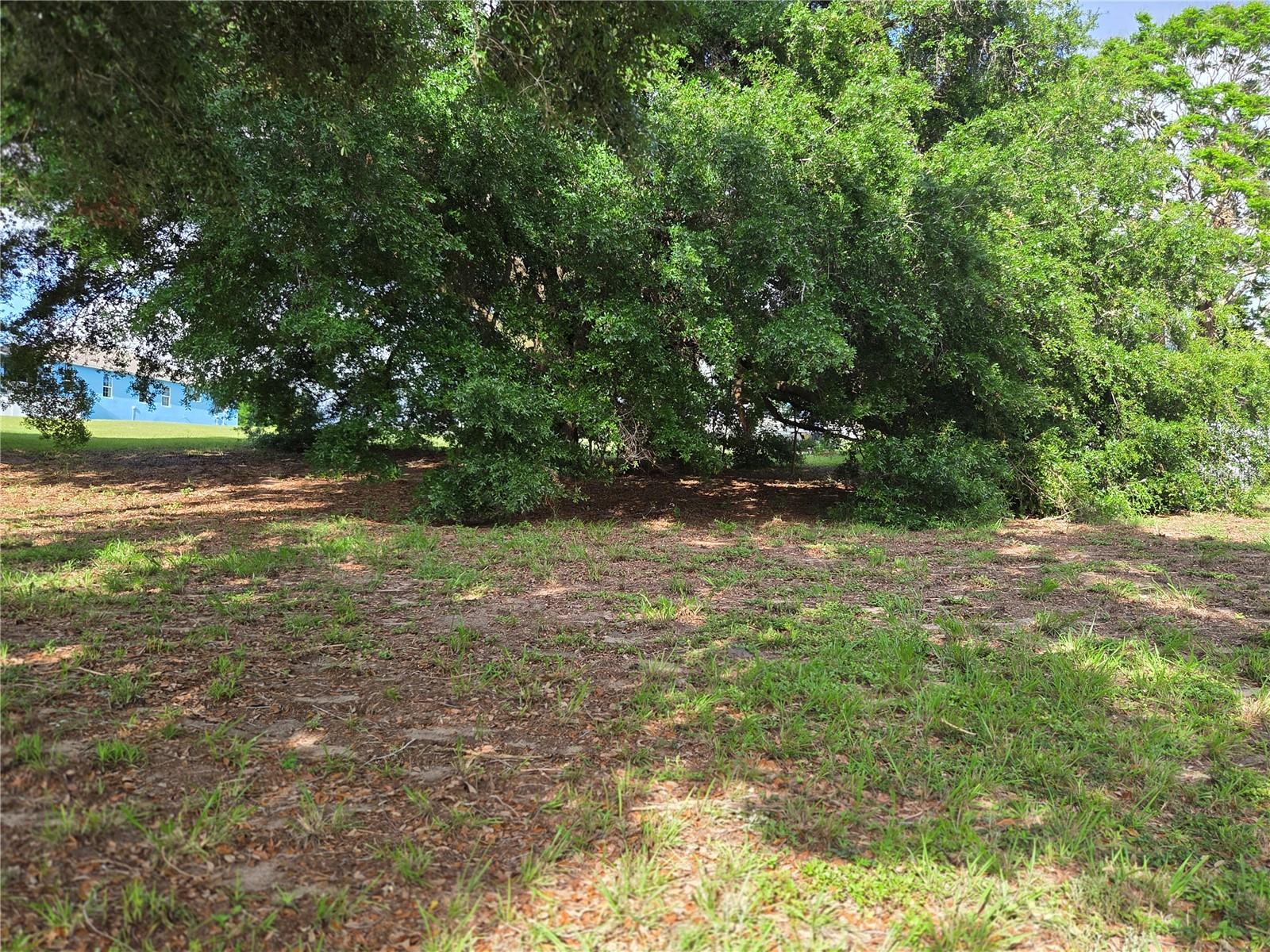 1408 WESTMORELAND AVE, EUSTIS, FL, 32726