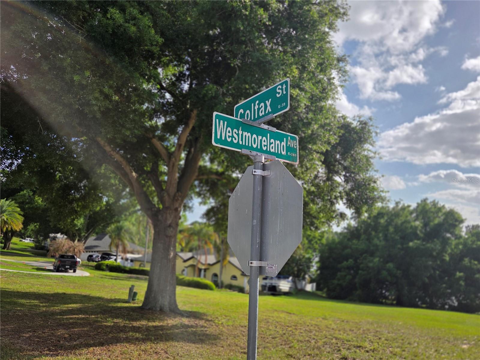 1408 WESTMORELAND AVE, EUSTIS, FL, 32726