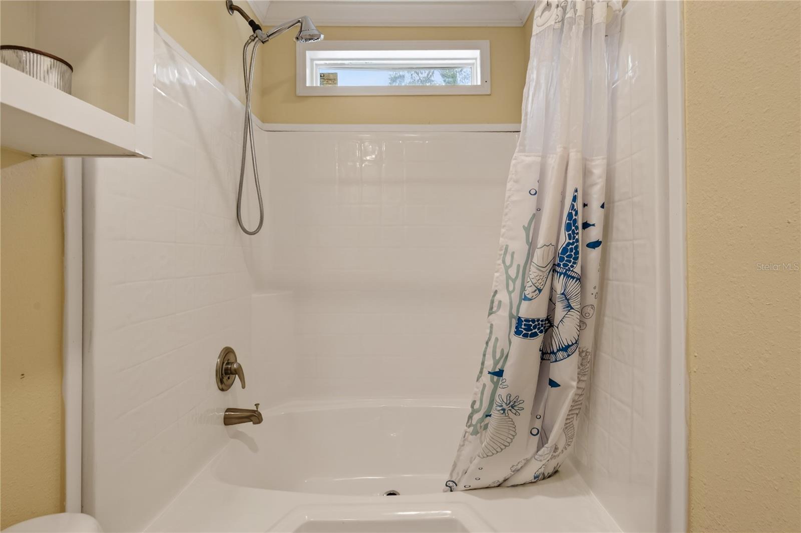 117 STODDARD RD, CRESCENT CITY, FL, 32112