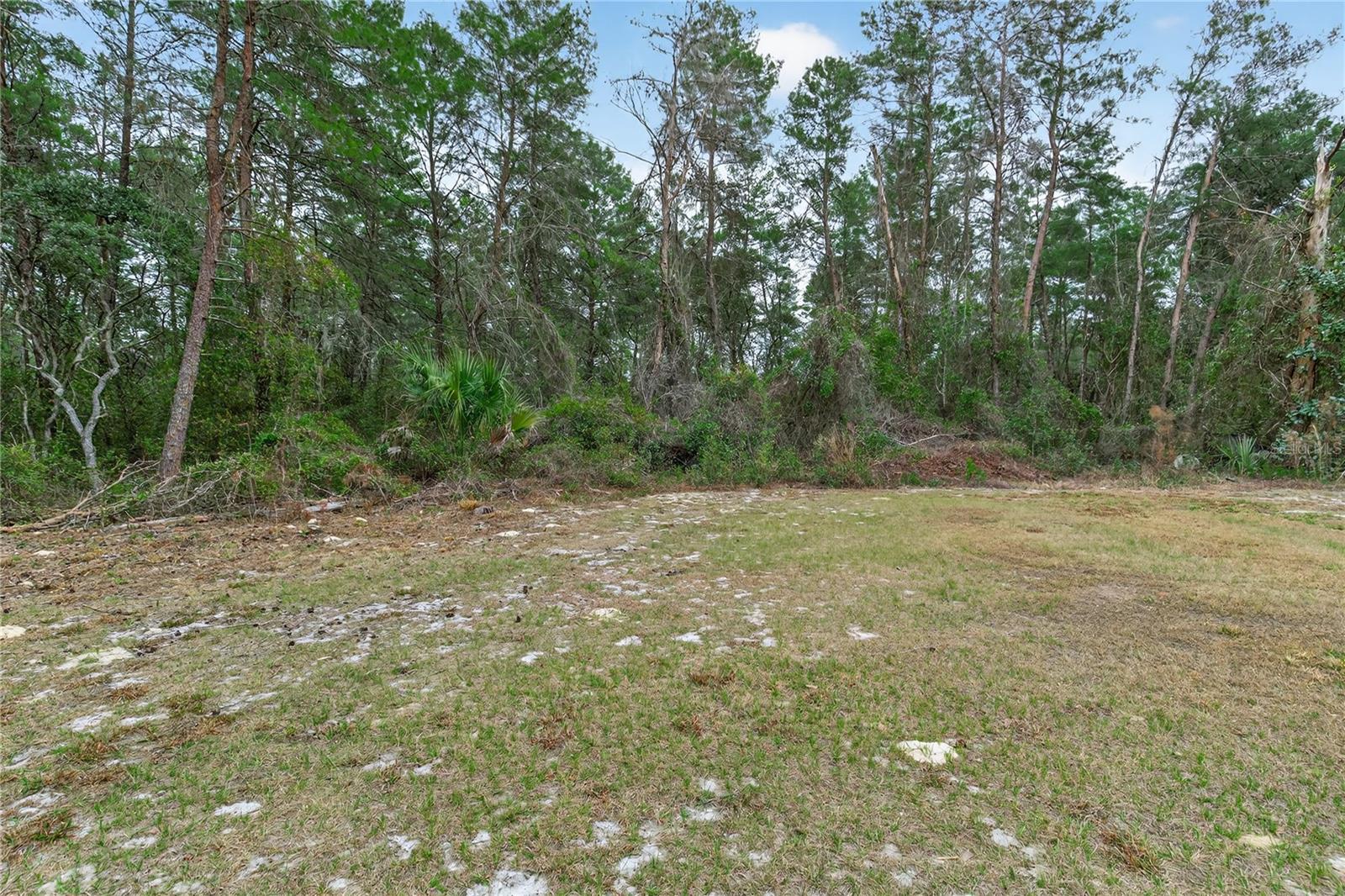 117 STODDARD RD, CRESCENT CITY, FL, 32112