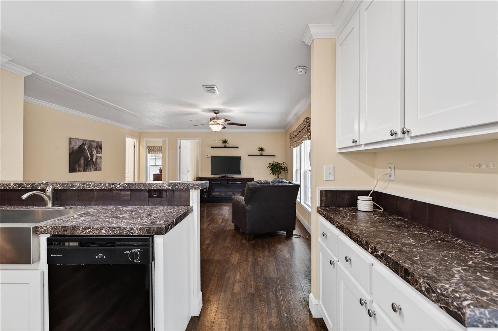 117 STODDARD RD, CRESCENT CITY, FL, 32112