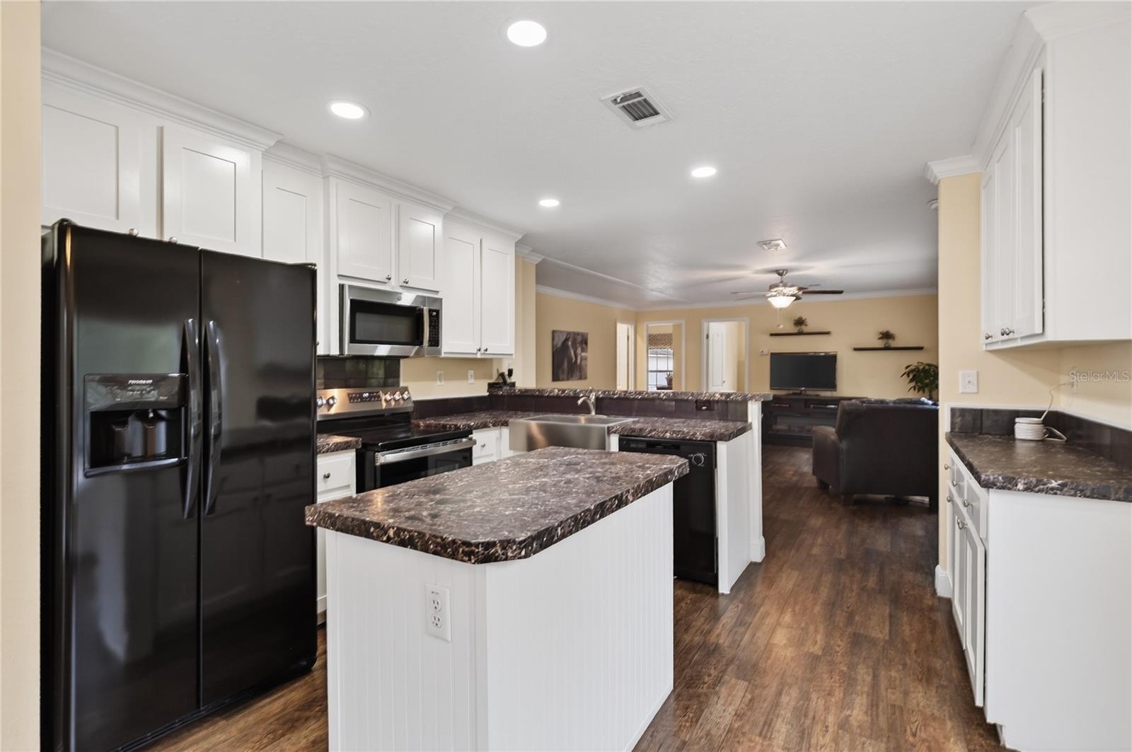 117 STODDARD RD, CRESCENT CITY, FL, 32112