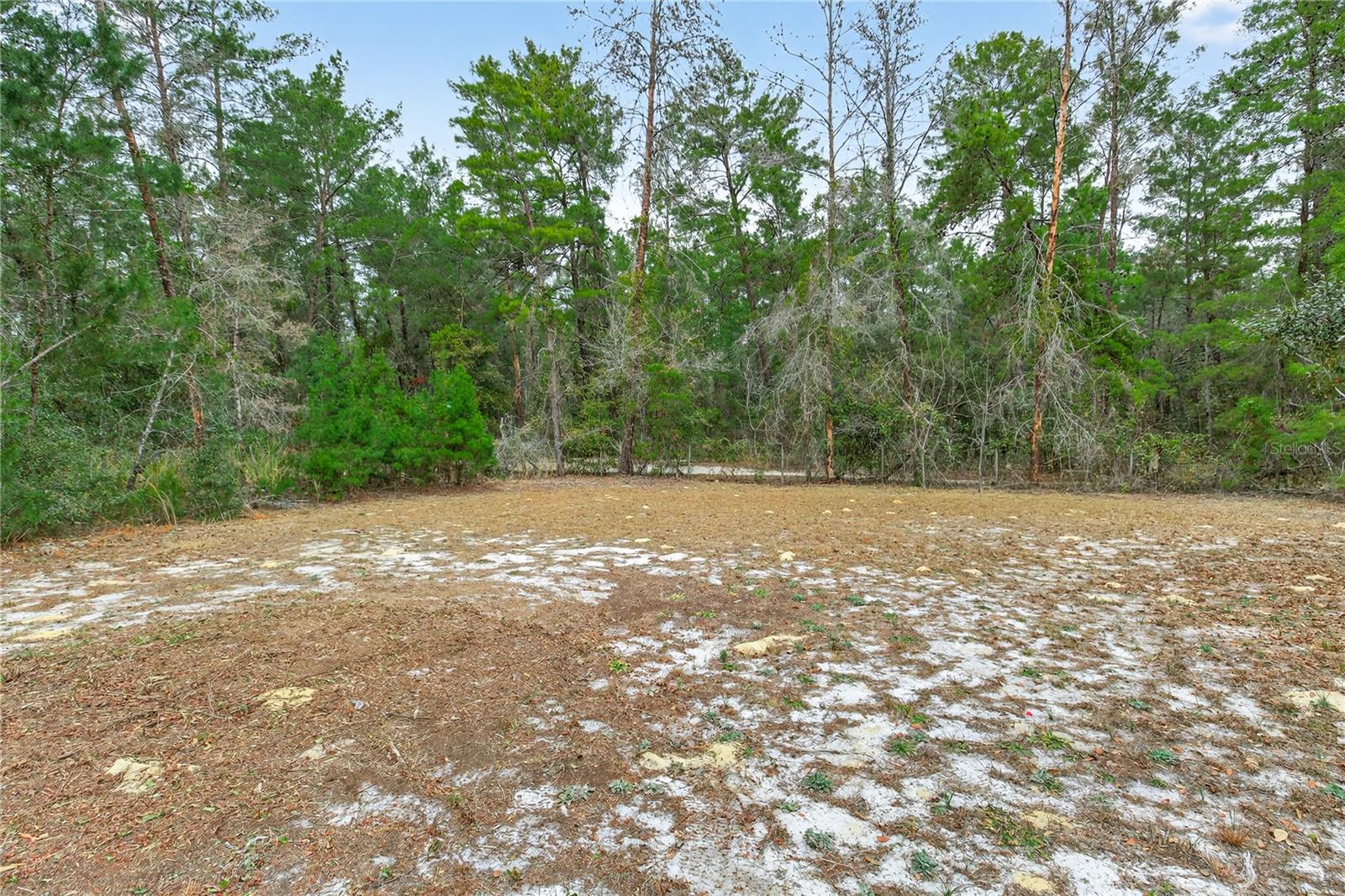 117 STODDARD RD, CRESCENT CITY, FL, 32112