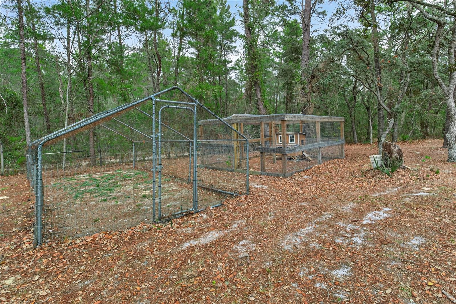 117 STODDARD RD, CRESCENT CITY, FL, 32112