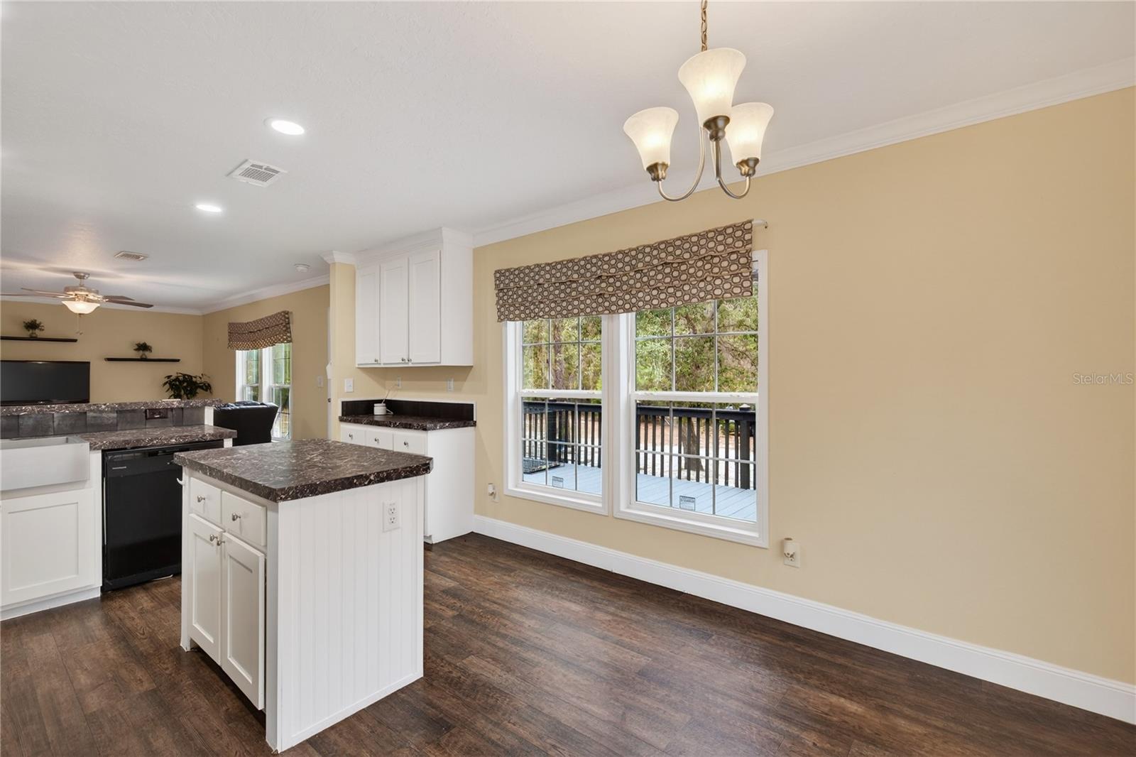 117 STODDARD RD, CRESCENT CITY, FL, 32112