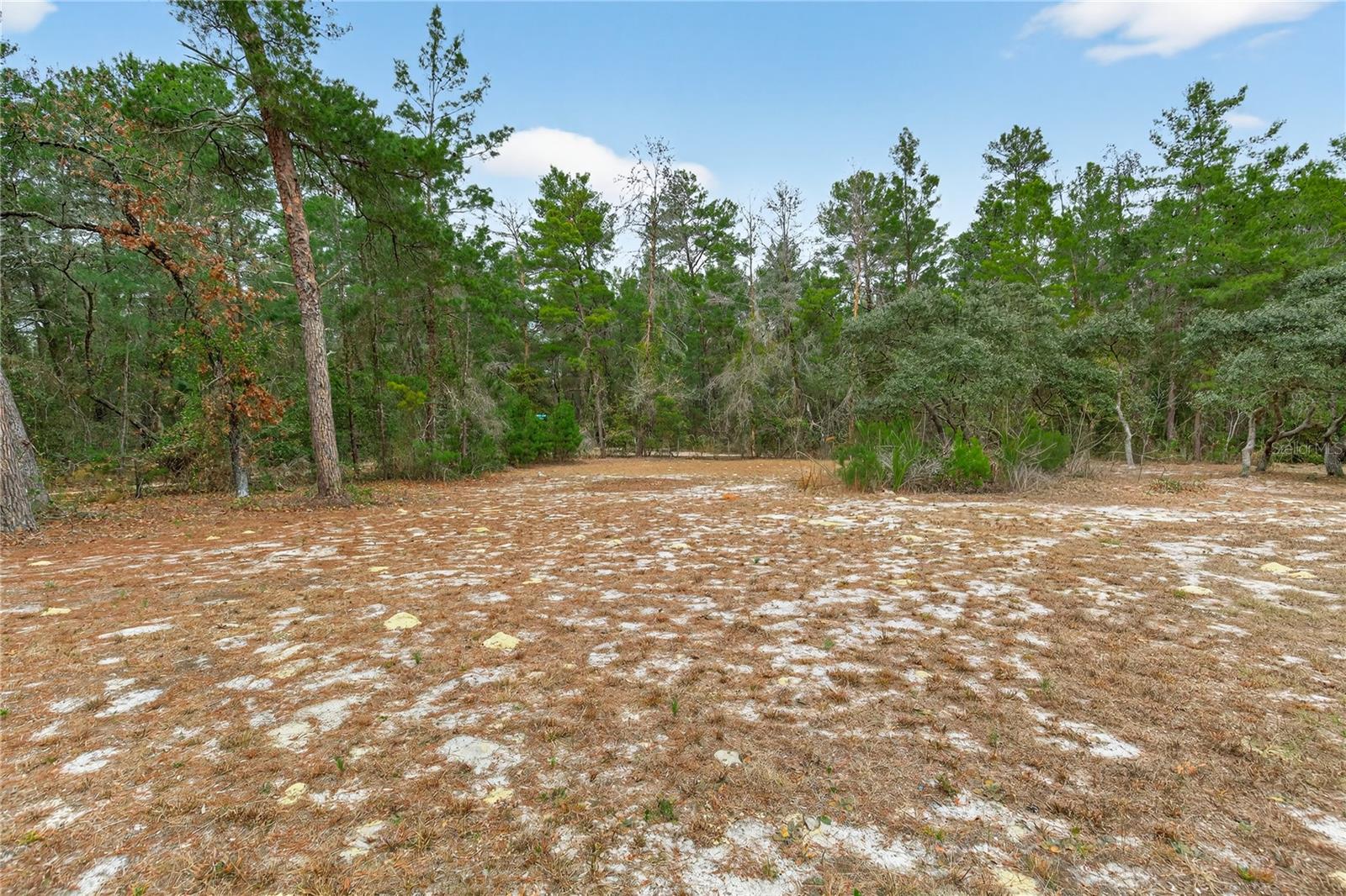 117 STODDARD RD, CRESCENT CITY, FL, 32112