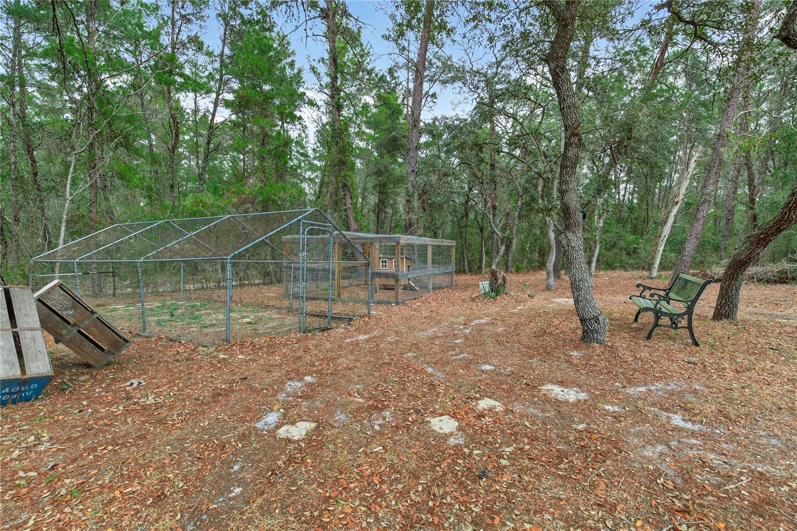 117 STODDARD RD, CRESCENT CITY, FL, 32112