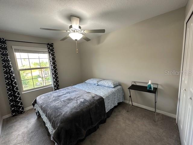 8517 REEDVILLE ST, NEW PORT RICHEY, FL, 34654