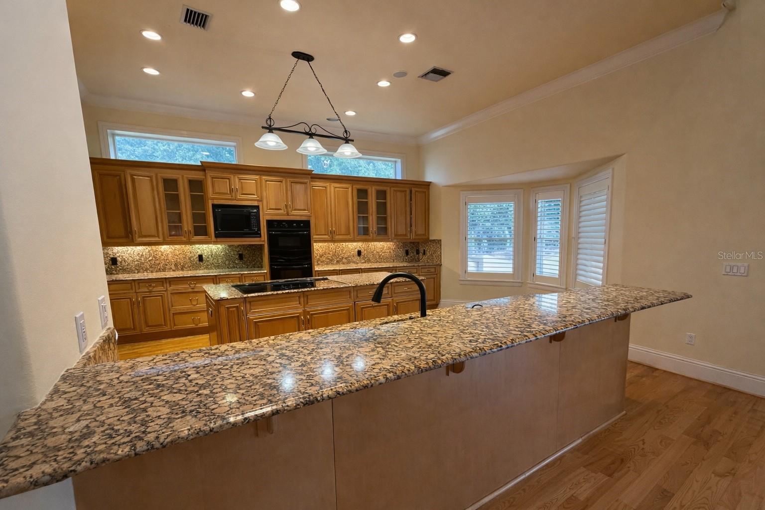 441 LUCERNE AVE, TAMPA, FL, 33606