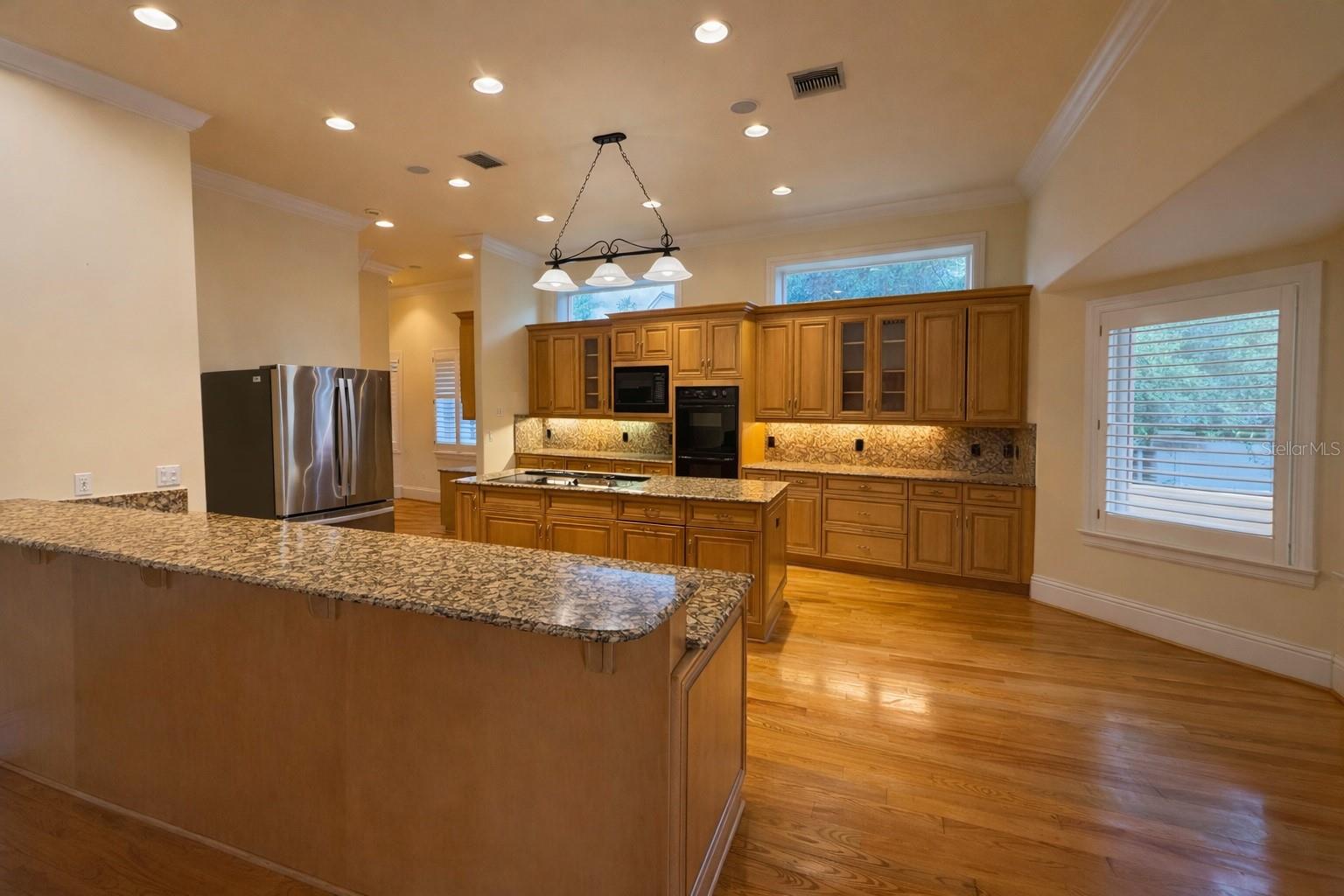 441 LUCERNE AVE, TAMPA, FL, 33606