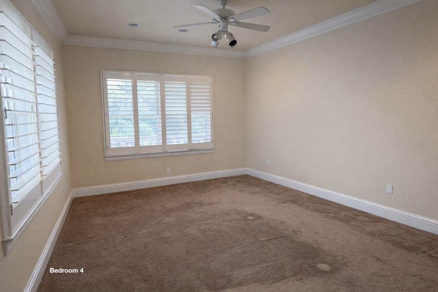 441 LUCERNE AVE, TAMPA, FL, 33606