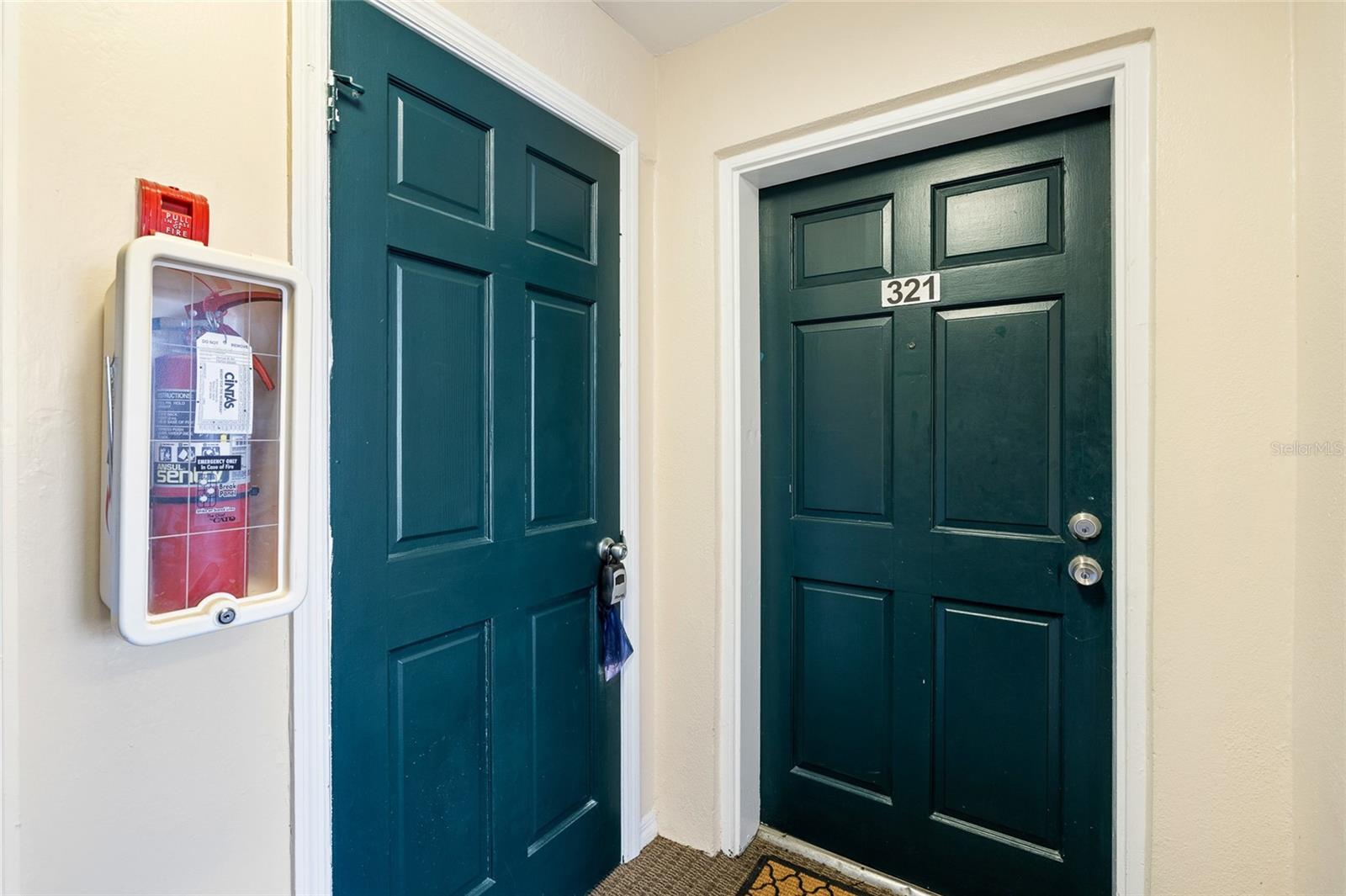 3402 LATANIA DR #321, TAMPA, FL, 33618