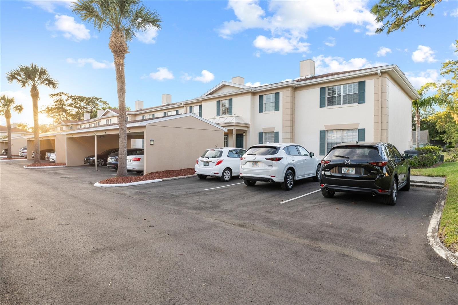 3402 LATANIA DR #321, TAMPA, FL, 33618