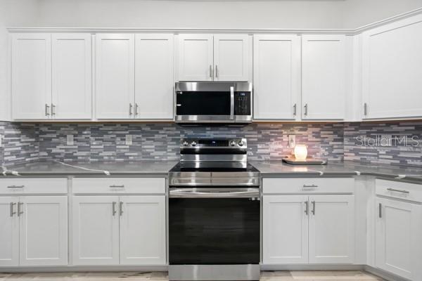 4909 SW 107 LOOP, OCALA, FL, 34476