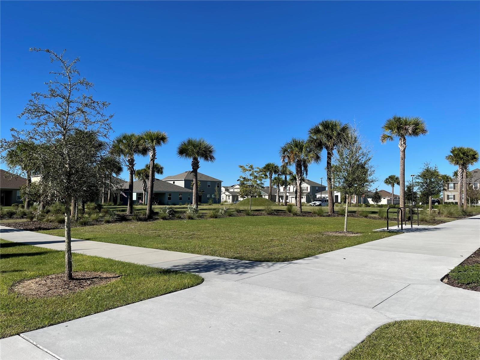 2950 FIREBUSH WAY, CLERMONT, FL, 34711