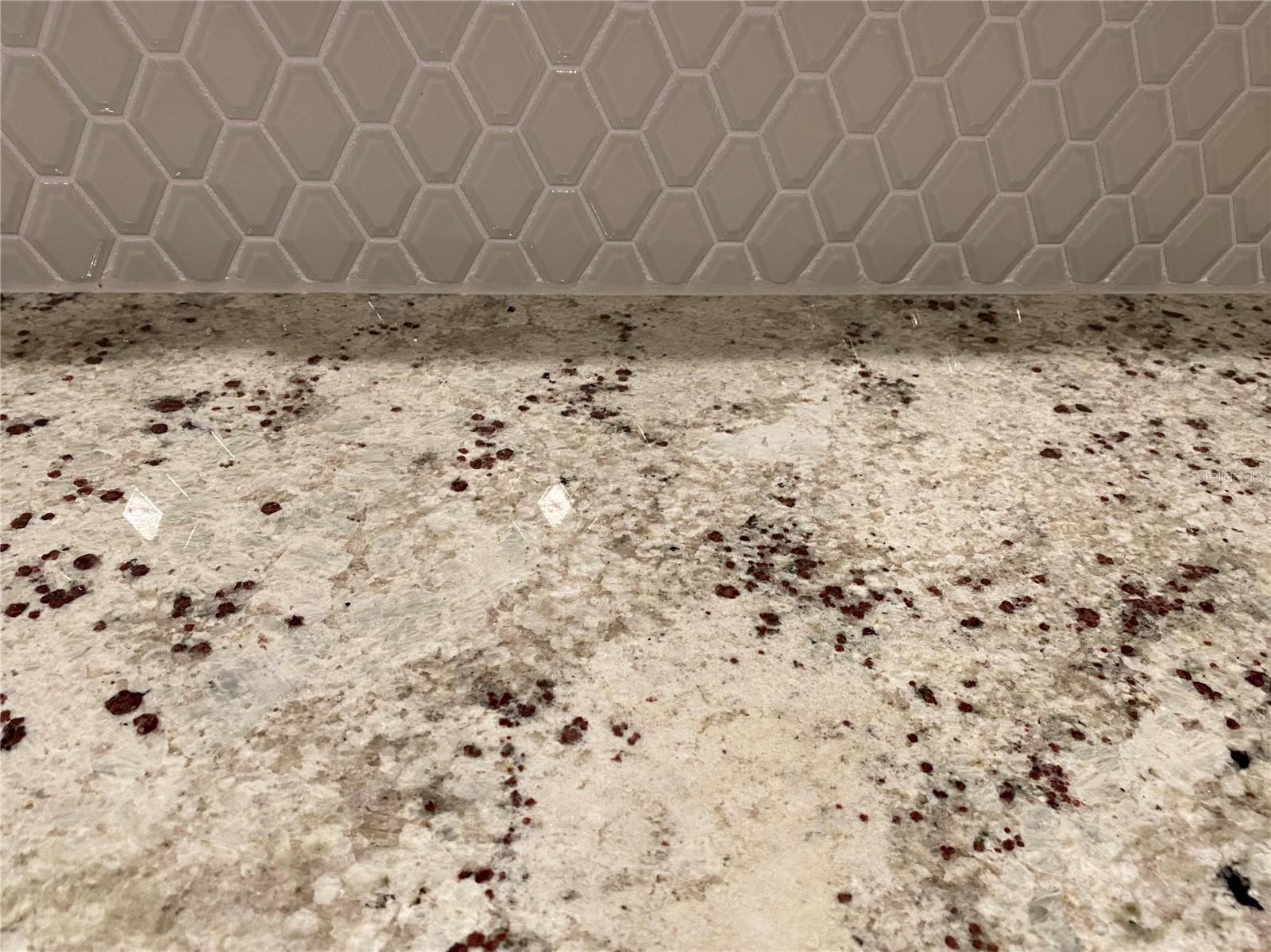 2950 FIREBUSH WAY, CLERMONT, FL, 34711