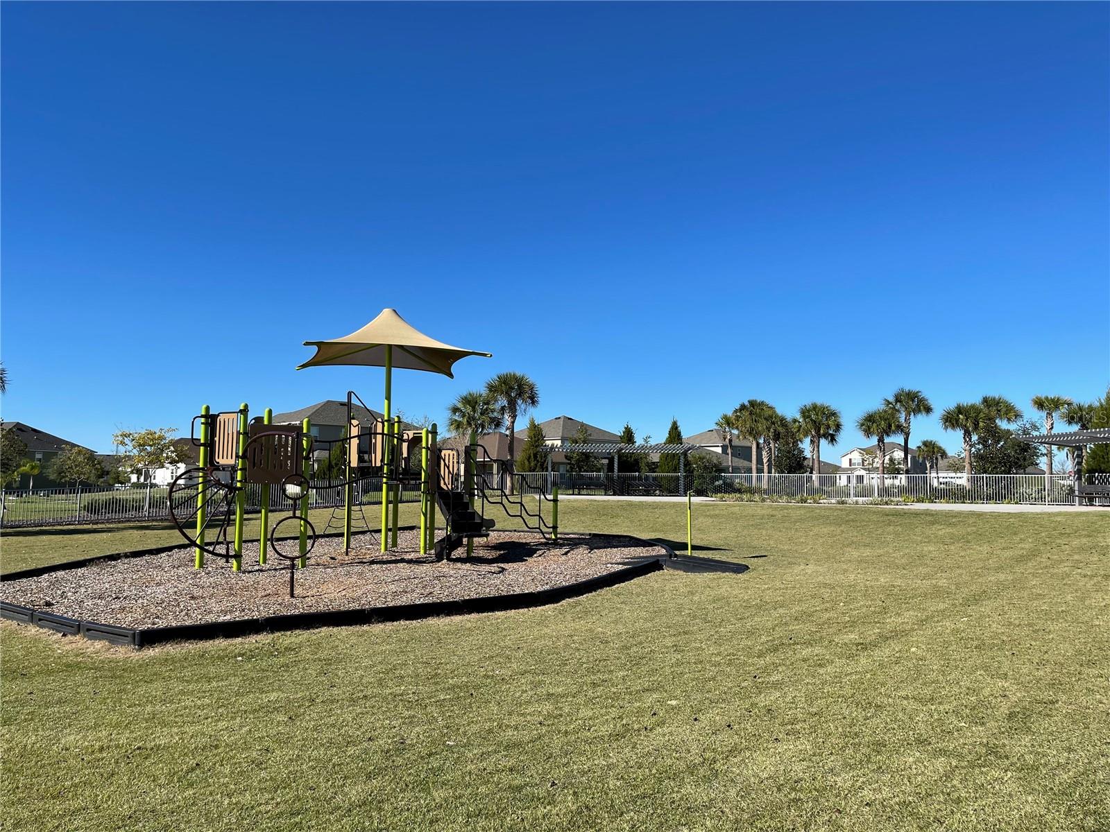 2950 FIREBUSH WAY, CLERMONT, FL, 34711