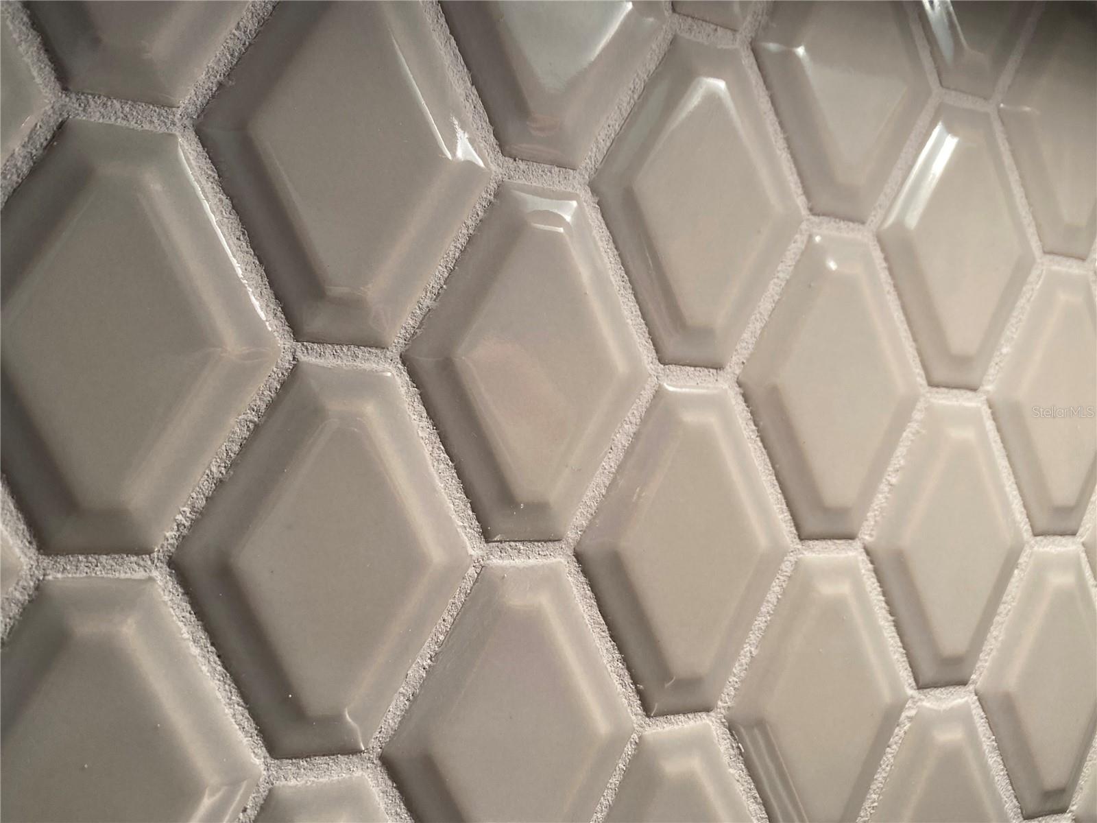 2950 FIREBUSH WAY, CLERMONT, FL, 34711