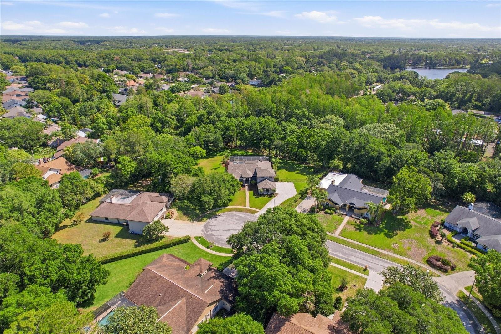 5902 HAMMOCK WOODS DR, ODESSA, FL, 33556