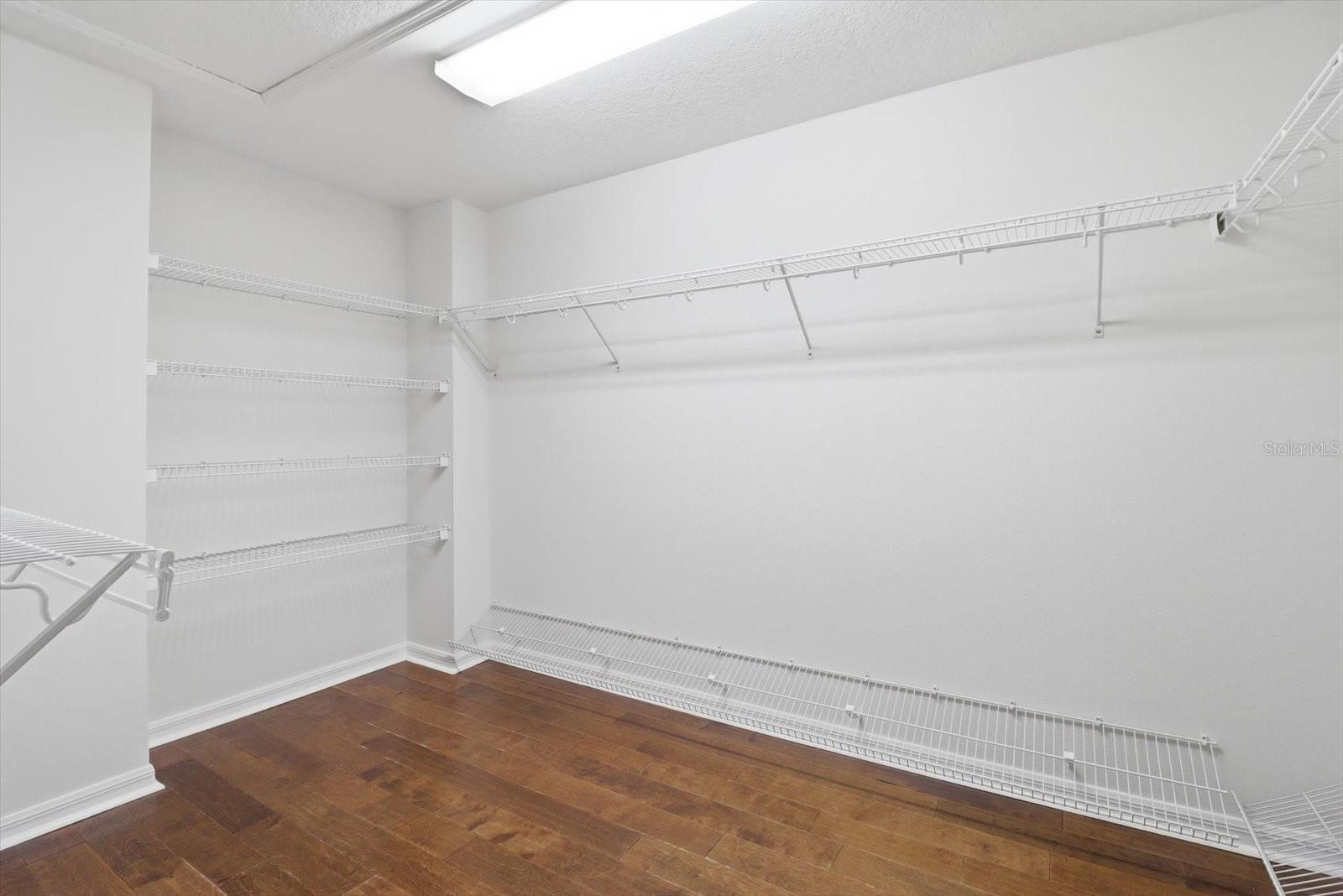 5902 HAMMOCK WOODS DR, ODESSA, FL, 33556