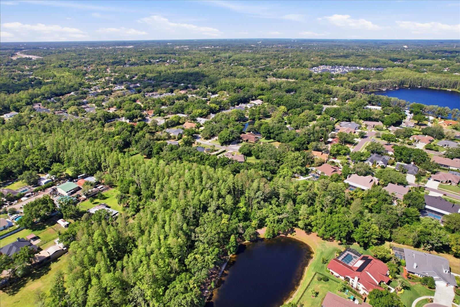 5902 HAMMOCK WOODS DR, ODESSA, FL, 33556