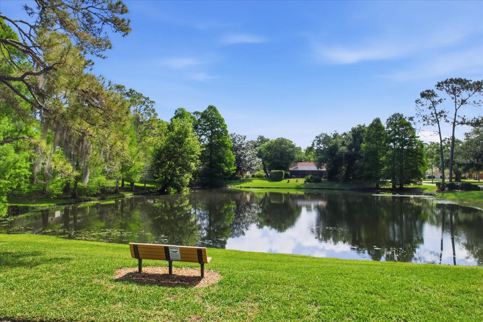 5902 HAMMOCK WOODS DR, ODESSA, FL, 33556