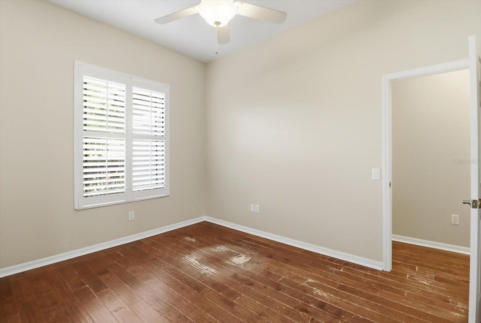 5902 HAMMOCK WOODS DR, ODESSA, FL, 33556