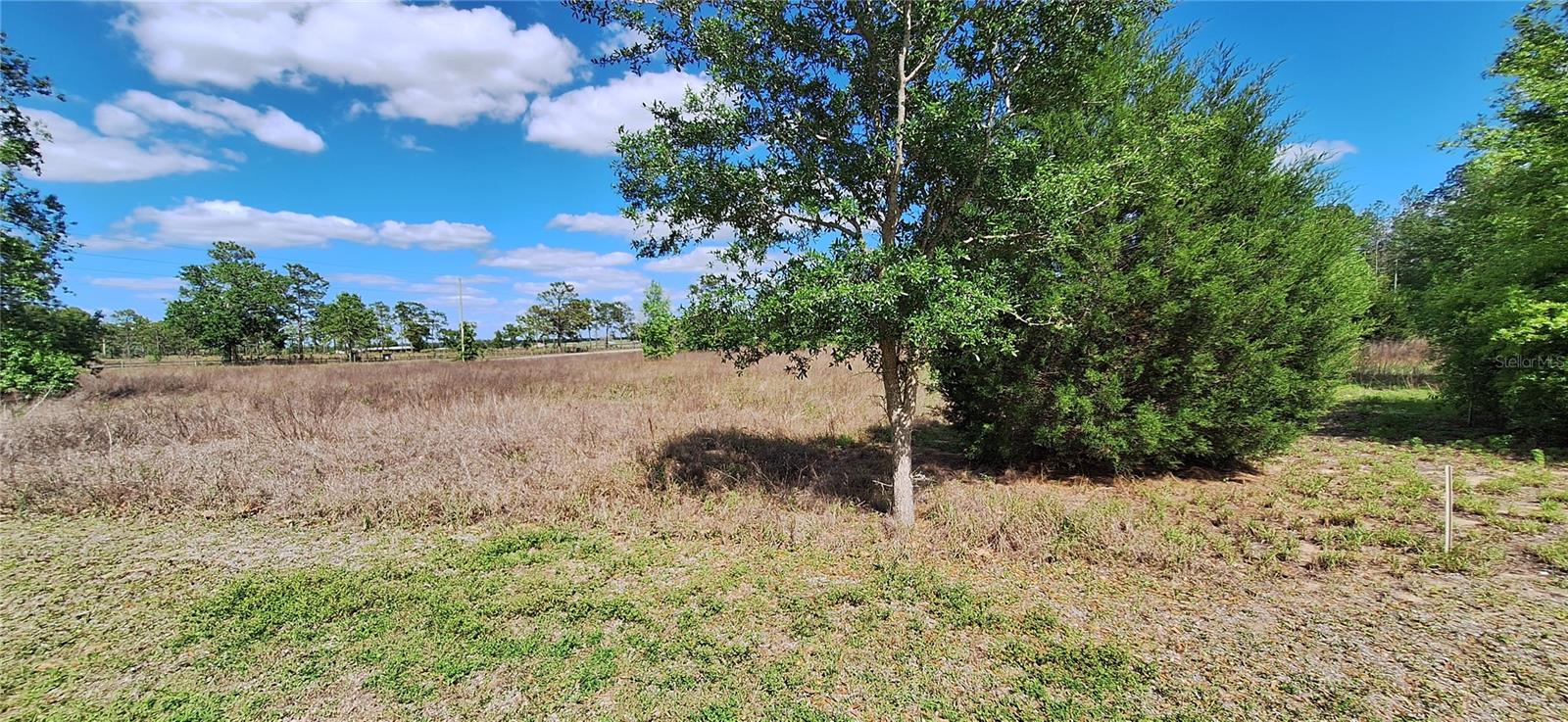 SE 60TH STREET, MORRISTON, FL, 32668