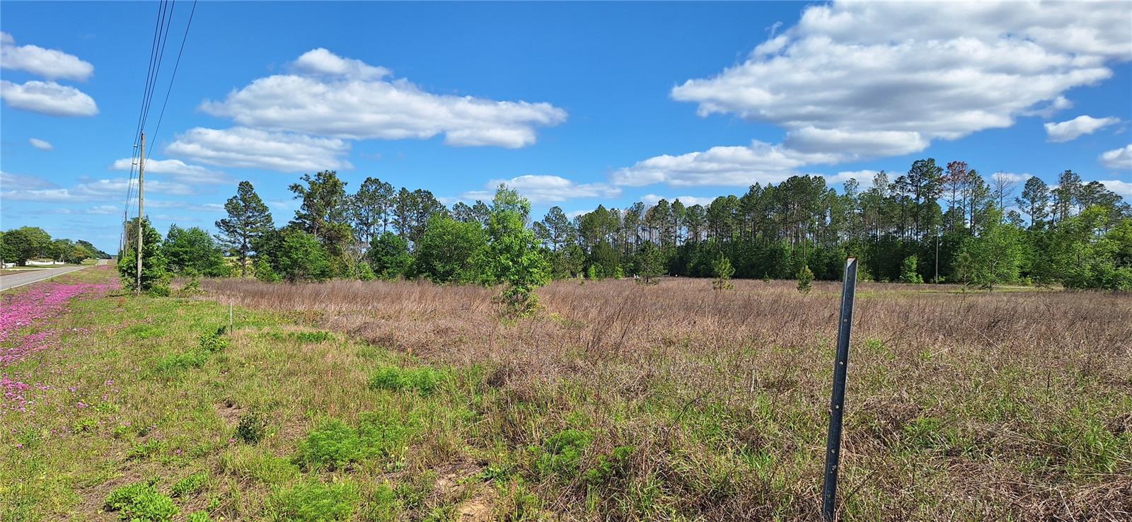 SE 60TH STREET, MORRISTON, FL, 32668